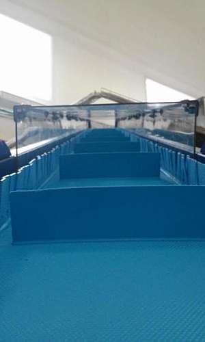 Esteiras horizontal em SBC Esteiras horizontal em SBC